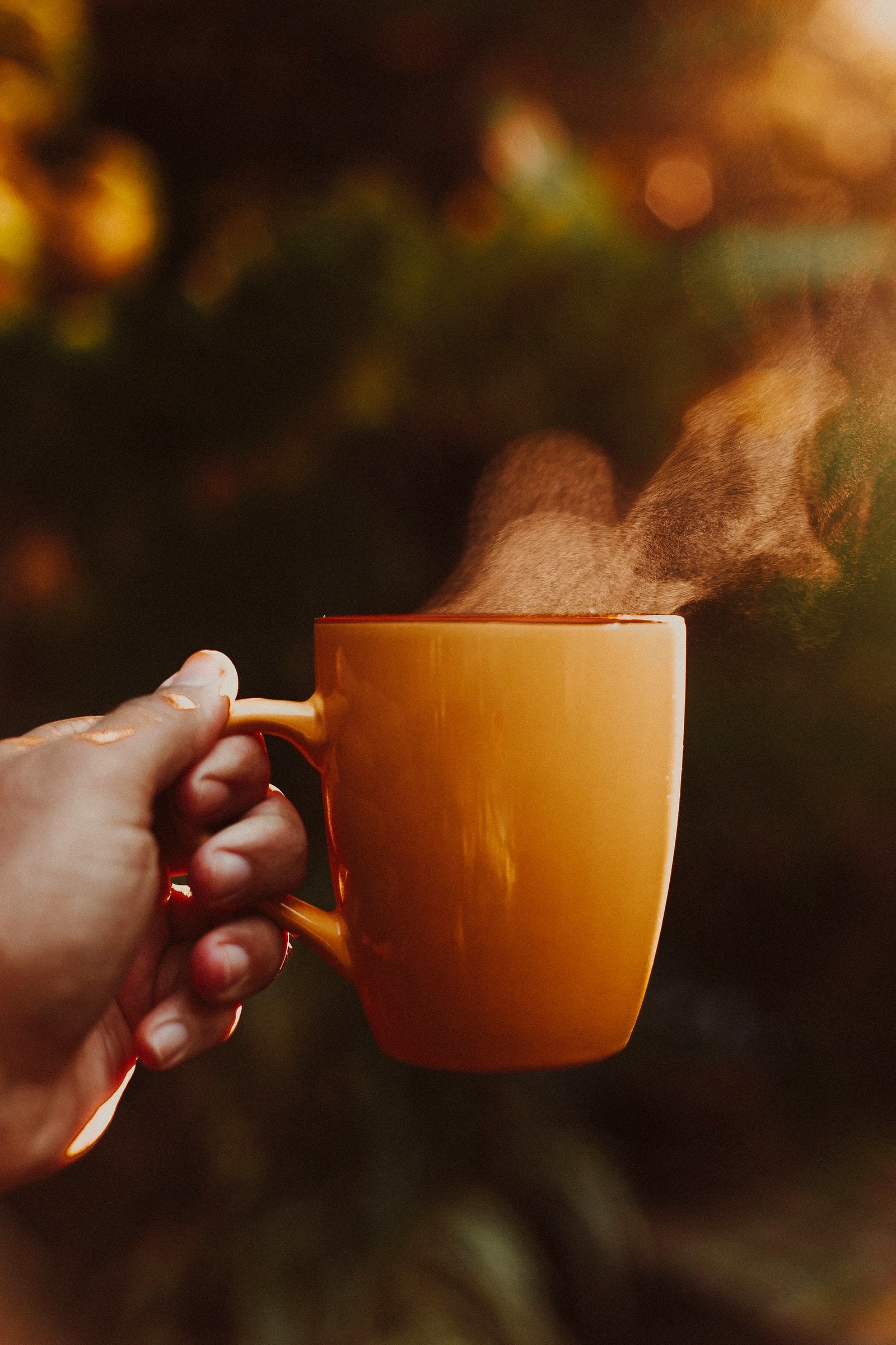 A hand holds a steaming orange mug in warm afternoon light.